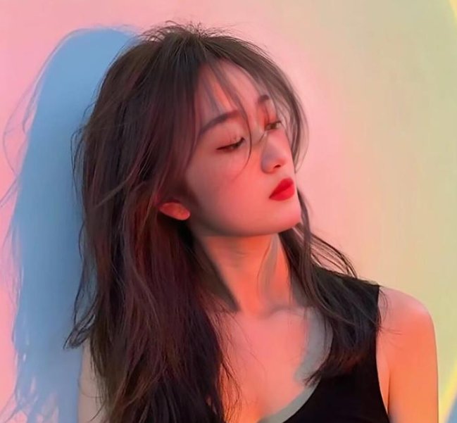 白莲花 封面