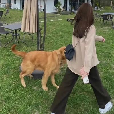 家事提案 封面
